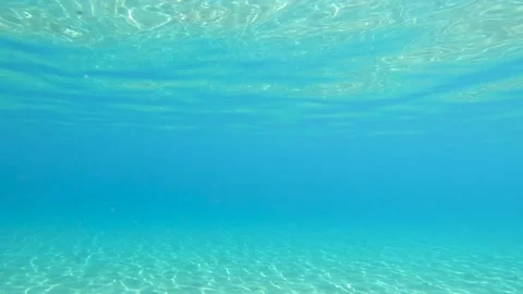 Crystal clear ocean underwater Stock Footage 159494036
