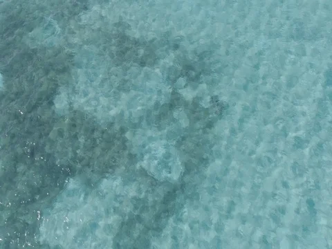Crystal Clear Ocean Water 스톡 동영상 76483168