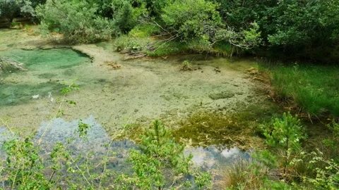 Crystal clear pond and small waterfall surrounded by a lush forest Video stock 137090045