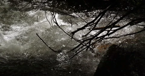 Crystal clear rapids flowing over rocks in natural stream Stock Footage 335659996
