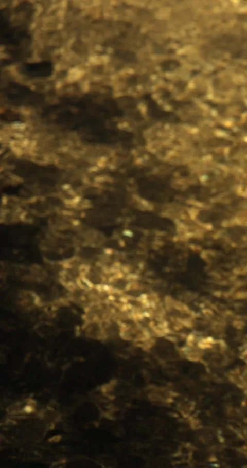 Crystal Clear River Demonstrating Water Quality Vídeos de archivo 336183012