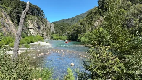 Crystal clear river flowing between forested cliffs Stock Footage 310611154
