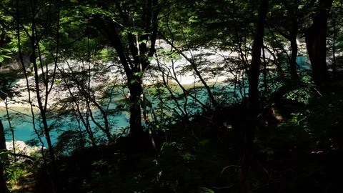 Crystal Clear River Flowing In Forest At Dakigaeri Valley Japan Stock Footage 117364792