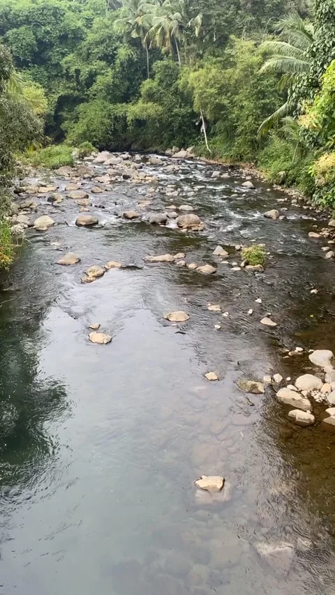 Crystal-clear river flowing through a tropical forest in Indonesia Stock Footage 300951244