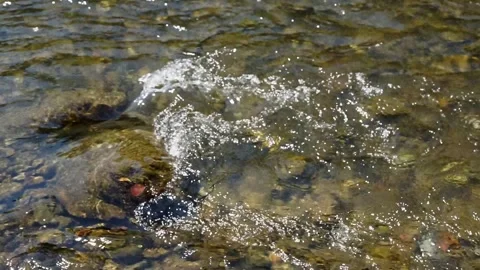 Crystal clear river flowing through nature Stock Footage 317163737