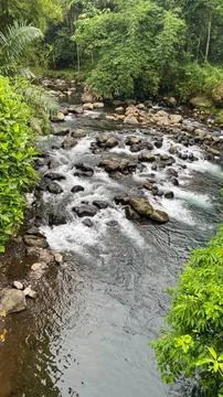 Crystal-clear river flowing through a tropical forest in Indonesia Stock Photos