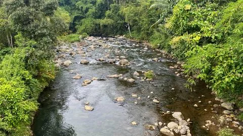 Crystal-clear river flowing through a tropical forest in Indonesia Foto stock