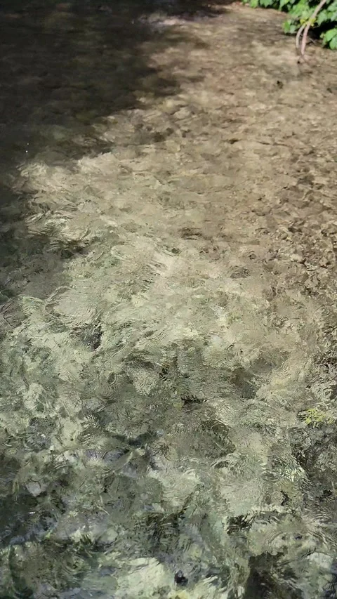 Crystal clear River Mulito flowing in tropical jungle,Pedernales,DR naturalsound Stock-Footage 330082968