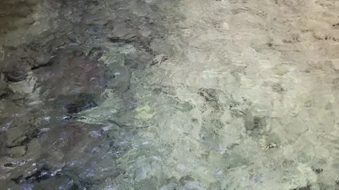 Crystal clear River Mulito flowing in tropical jungle,Pedernales,DR naturalsound Vidéo 330083314