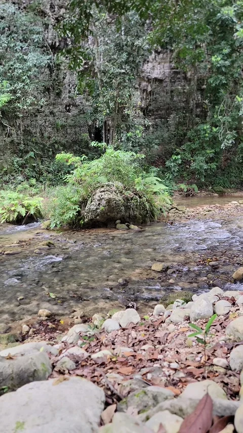 Crystal clear River Mulito flowing in tropical jungle,Pedernales,DR naturalsound 스톡 동영상 330084849