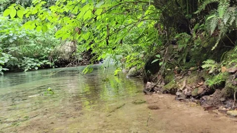 Crystal clear River Mulito flowing in tropical jungle,Pedernales,DR naturalsound Stock-Footage 330085592