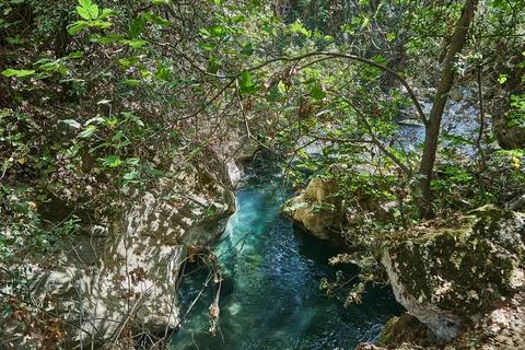 Crystal clear river passing through mossy boulders, surrounded by dense branches Stock Photos