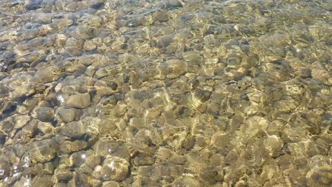 Crystal clear river. Pebbles on the bottom of a stream. Stock Footage 129555236