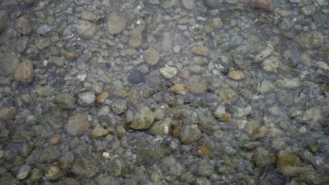 Crystal Clear River in Slow Motion Stock Footage 306541558
