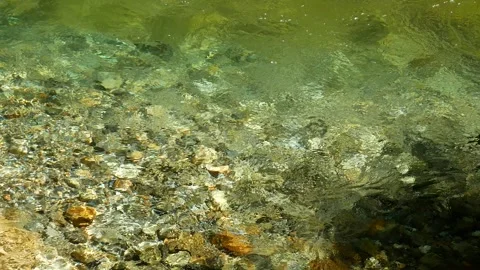 Crystal Clear River Stream in Omogo Gorge, Japan - Pristine Mountain Water Vídeo Stock 345030334