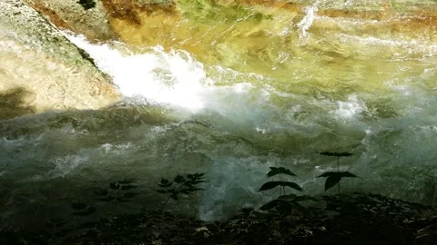 Crystal Clear River Stream in Omogo Gorge, Japan - Pristine Mountain Water Video stock 345030345