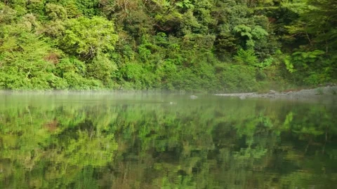 Crystal Clear River Stream in Omogo Gorge, Japan - Pristine Mountain Water Vídeo Stock 345030527