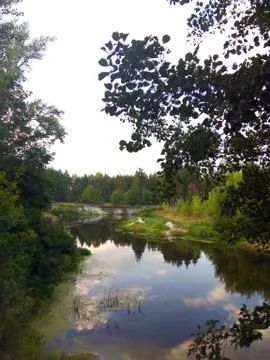 Crystal clear river surrounded by trees from the forest Stock Photos