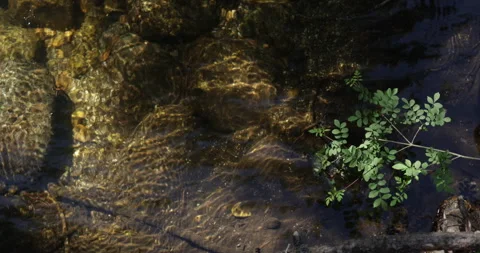 Crystal clear river water flowing over granite stones in natural stream Stock Footage 335728329