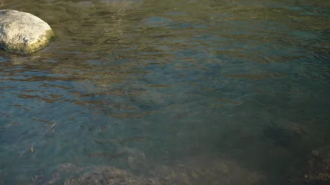 Crystal clear river water flowing gently through a shallow pool Stock Footage 341857684