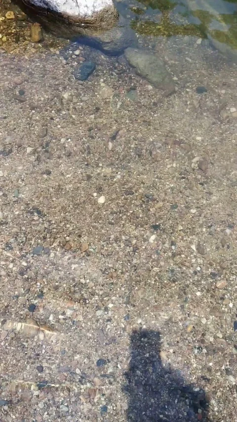 Crystal clear river water Stock Footage 127580664