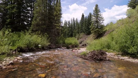 Crystal Clear Rocky Mountain Stream In Colorado 库存影片 157993720