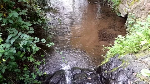 Crystal Clear Rocky River Stream in Nature 動画素材 337856596