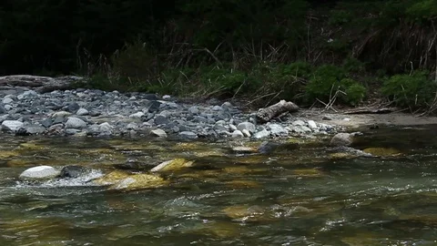 Crystal clear running stream Stock Footage 128476696