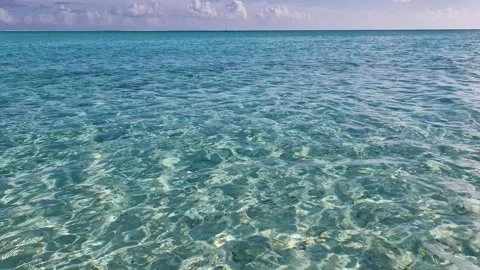Crystal Clear Sea Water in Bora Bora Island Lagoon, French Polynesia Stockbeeldmateriaal 335969937