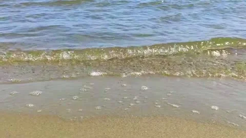 Crystal Clear Sea Waves Rolling onto Golden Sandy Beach Video stock 334691347