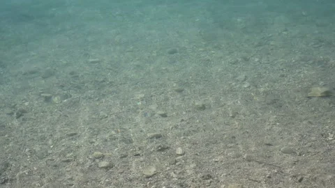 Crystal clear shallow water flowing over a rocky riverbed with gentle ripples Stock Footage 335813847