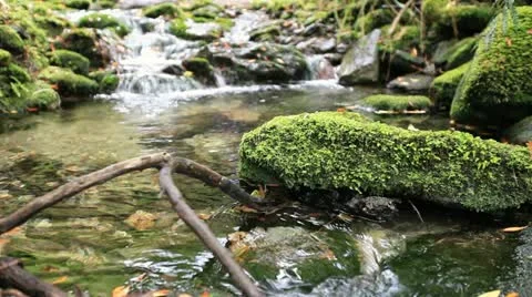 Crystal clear spring Stock Footage 10892111