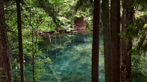 Crystal-clear spring lake in a forest behind trees Stock Footage 68410574