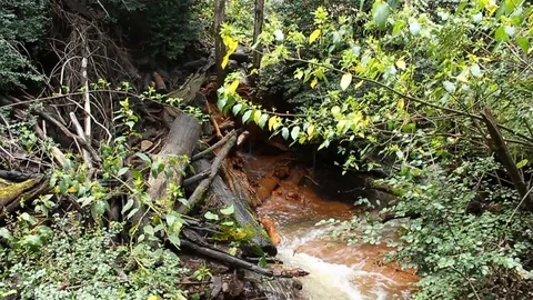 Crystal clear spring with an orange bed 01 Stockbeeldmateriaal 128613159