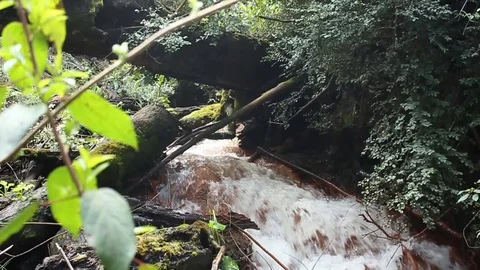 Crystal clear spring with an orange bed 03 Stock Footage 128613615