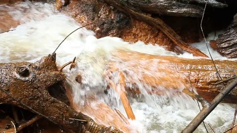 Crystal clear spring with an orange bed 04 Stock Footage 128613734