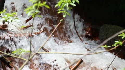 Crystal clear spring with an orange bed 05 Stockbeeldmateriaal 128613812