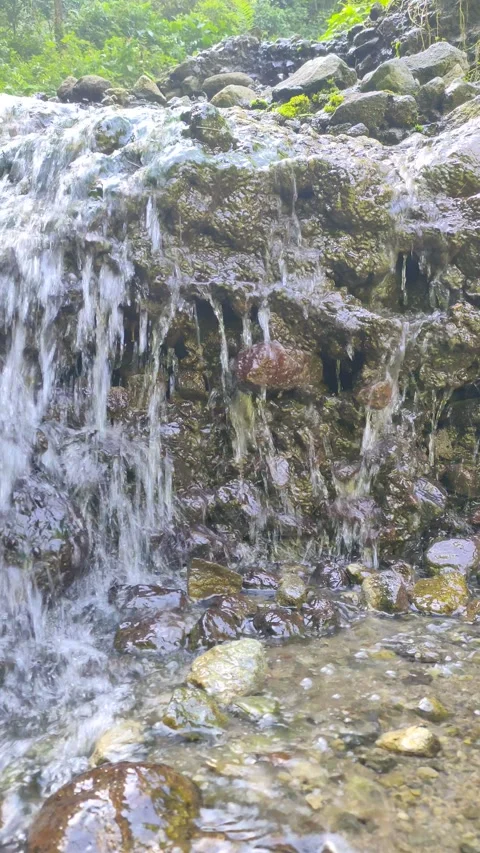 Crystal Clear Spring Water Cascading Down Rocks Stock Footage 311448672