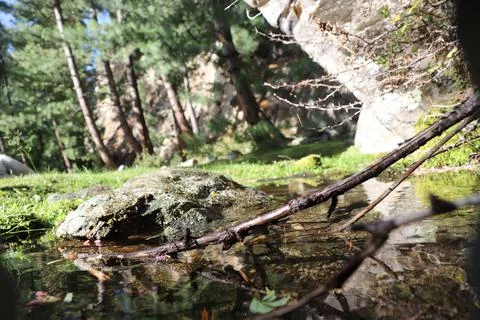Crystal Clear Spring Water Flowing from Rocks in Nature Stock Photos