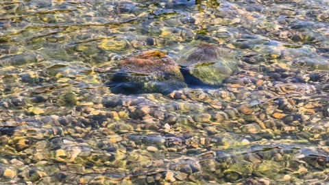 Crystal Clear Stream Bed with Smooth River Rocks in Slow Motion 4K Stock Footage 308022303