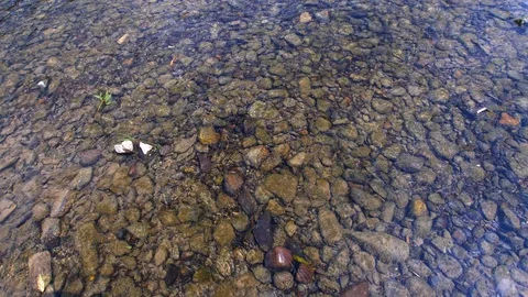 Crystal Clear Stream Bottom Rocks Stones and Flowing Water Stock Footage 114688571