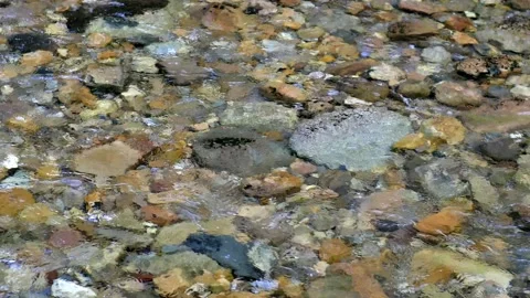 Crystal Clear Stream Bottom Rocks Stones and Flowing Water Stock Footage 159473692