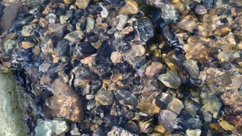 Crystal-clear stream cascading over smooth, colorful river stones with sunlight Stock Footage 308084597