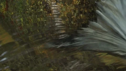 Crystal Clear Stream Flow Revealing Liquid Texture Macro Loop Видео 334641878