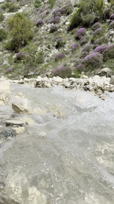 Crystal Clear Stream Flowing in Nature - Close-Up Shot Stock Footage 276409009