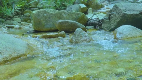 Crystal Clear Stream Flowing Over Rocks | Calming Nature Sounds for Relaxation Stock Footage 286937754