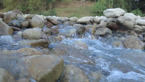 Crystal Clear Stream Flowing Over Rocks Video stock 290077631