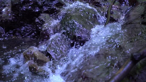 Crystal Clear Stream Flowing Over Stones. Slow Motion. Close-Up Video stock 311731339