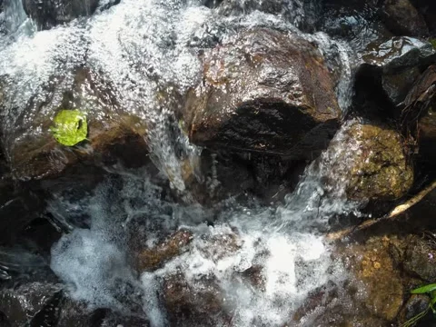 Crystal Clear Stream Flowing Over Rocks in a Lush Valley Stock Footage 323568139