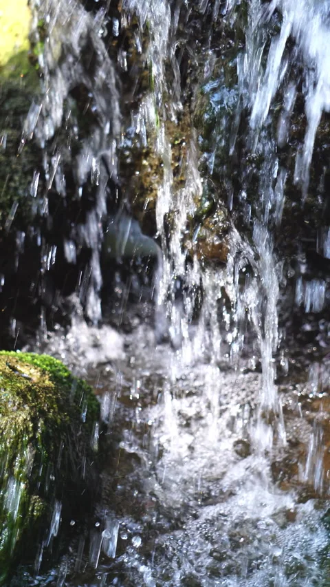 Crystal clear stream flowing over moss-covered rocks in a lush, peaceful forest. Stock-Footage 328642546